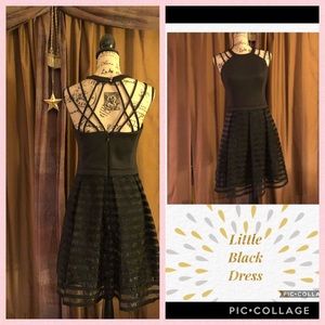 Guess Los Angles 👗 Sexy Little Black Dress